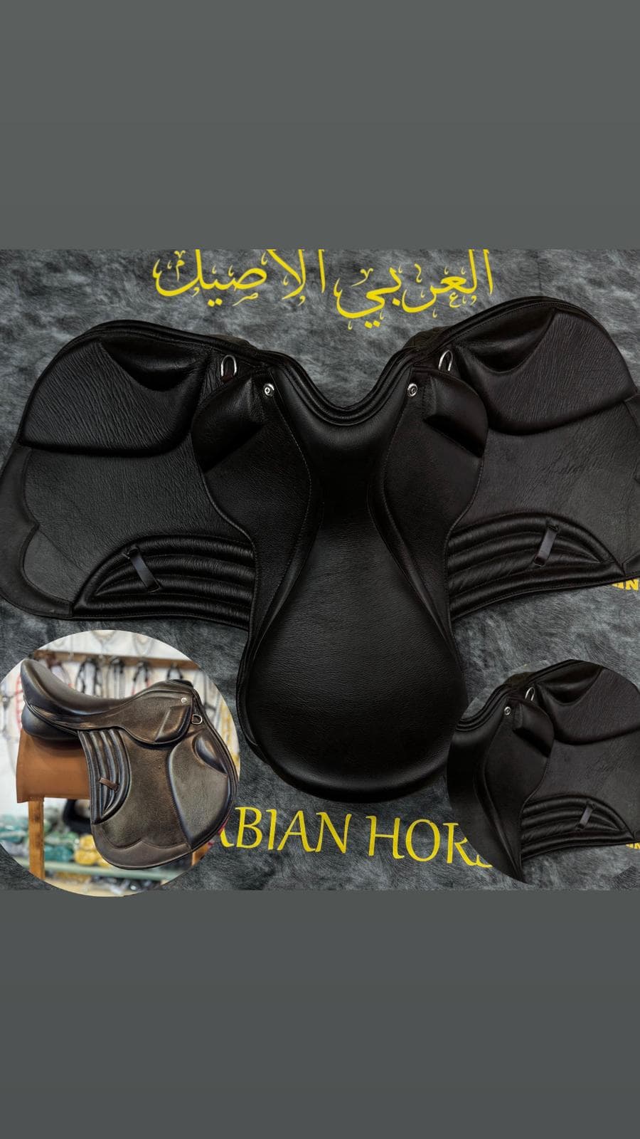 سرج سبورت