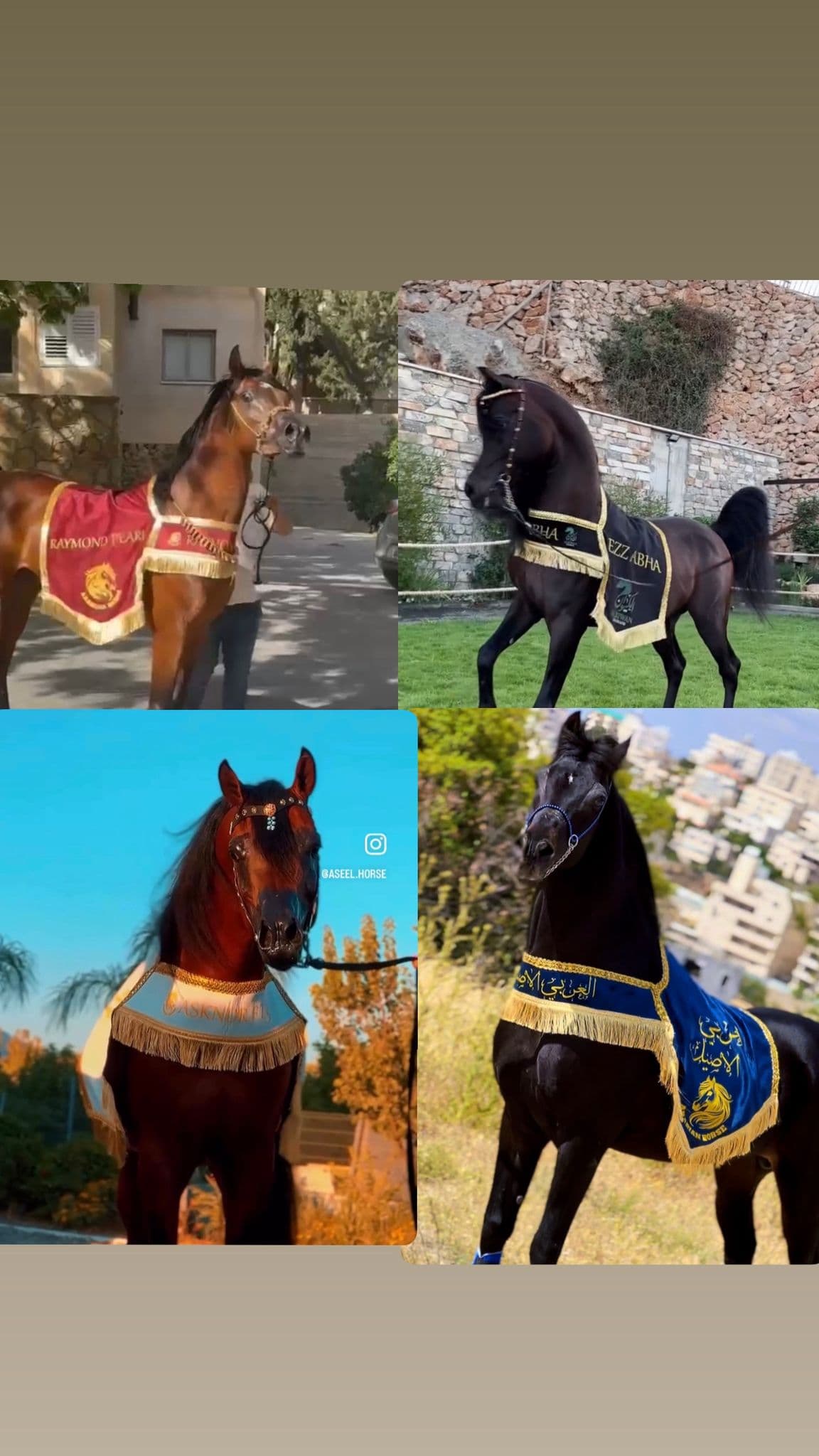 شلال عروض رقبة دائرية