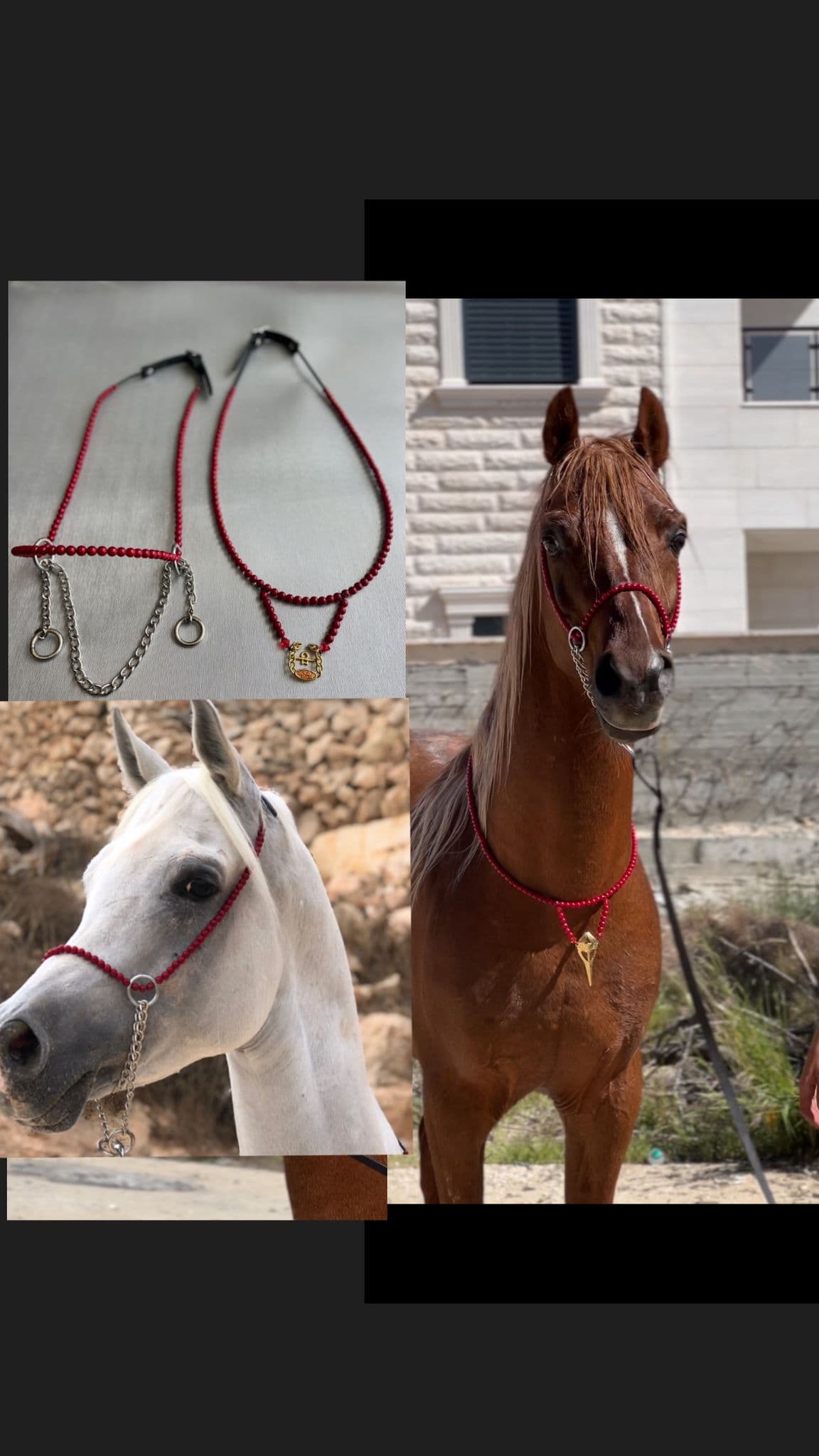 طقم جمال أحمر بدون شناف